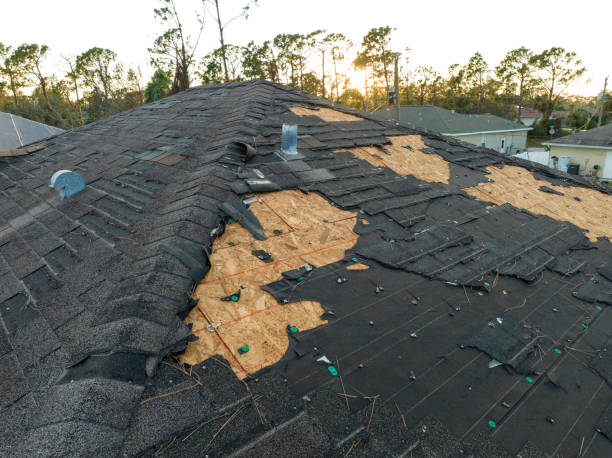Best Roof Leak Repair  in West Tawakoni, TX